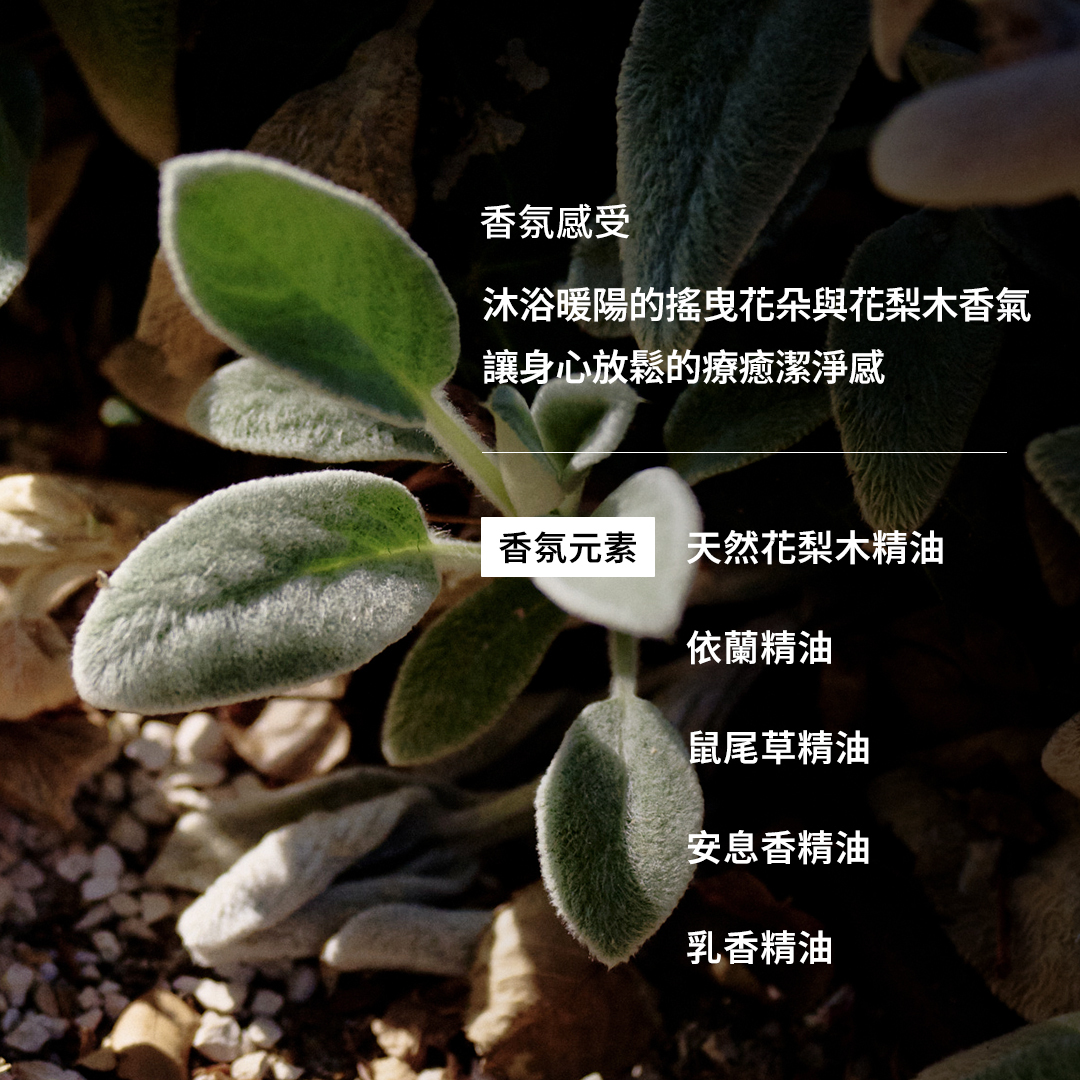 沙棘植萃卸妝霜