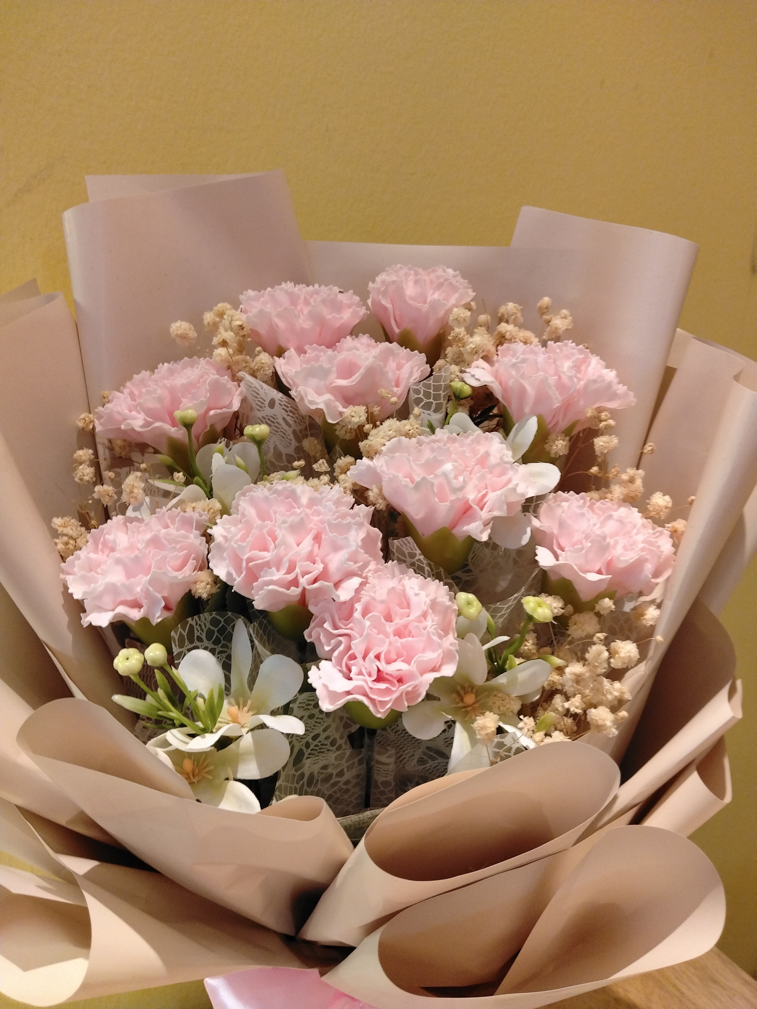 Flower carnation