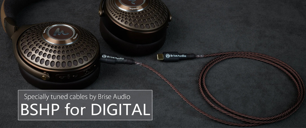 Brise Audio BSHP for DIGITAL USB 線