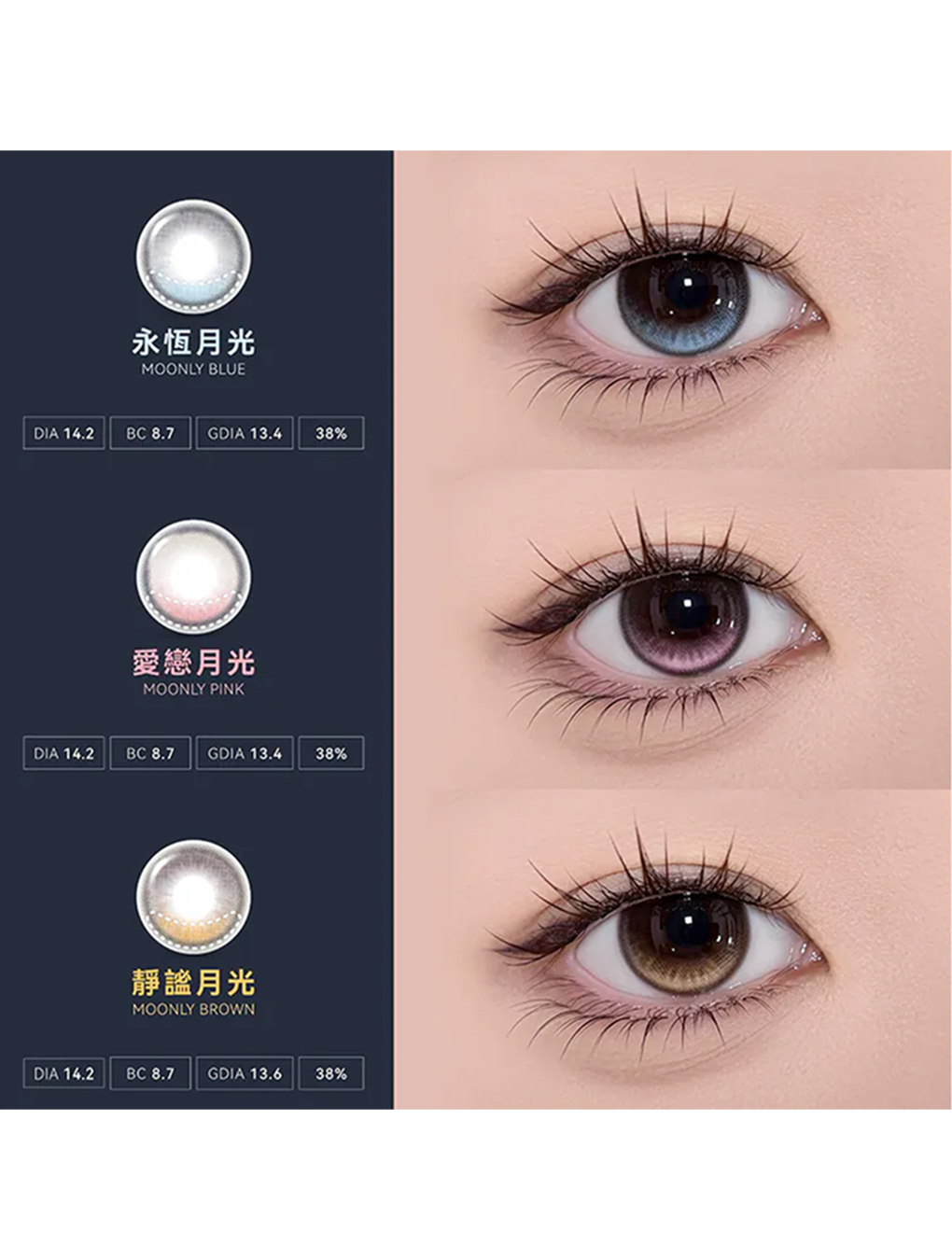 蜜緹 MITESORO 靜謐月光 Moonly Brown 日拋(10片裝)