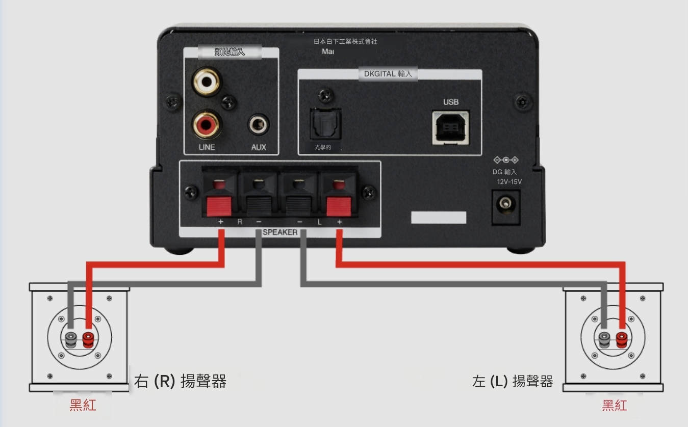 連接擴大機上的揚聲器接線端子（例如：SWL-T01）