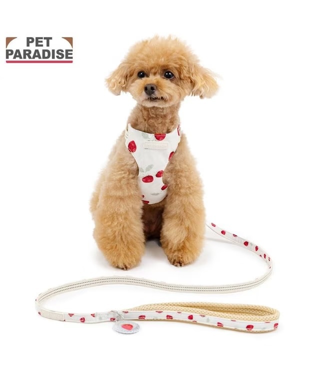 【Pet Paradise】Polka Dot Harness & Lead Set