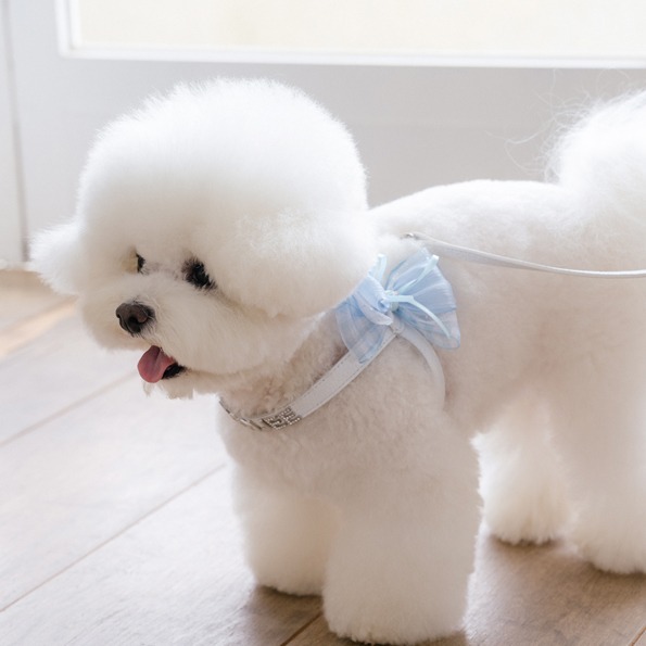 Stroll Soft Walk 柔感漫步胸背帶(純白色）