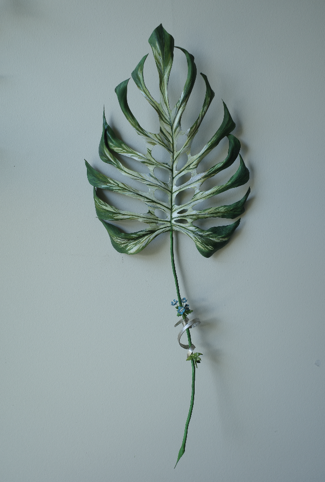 緩室 Huan's｜monstera