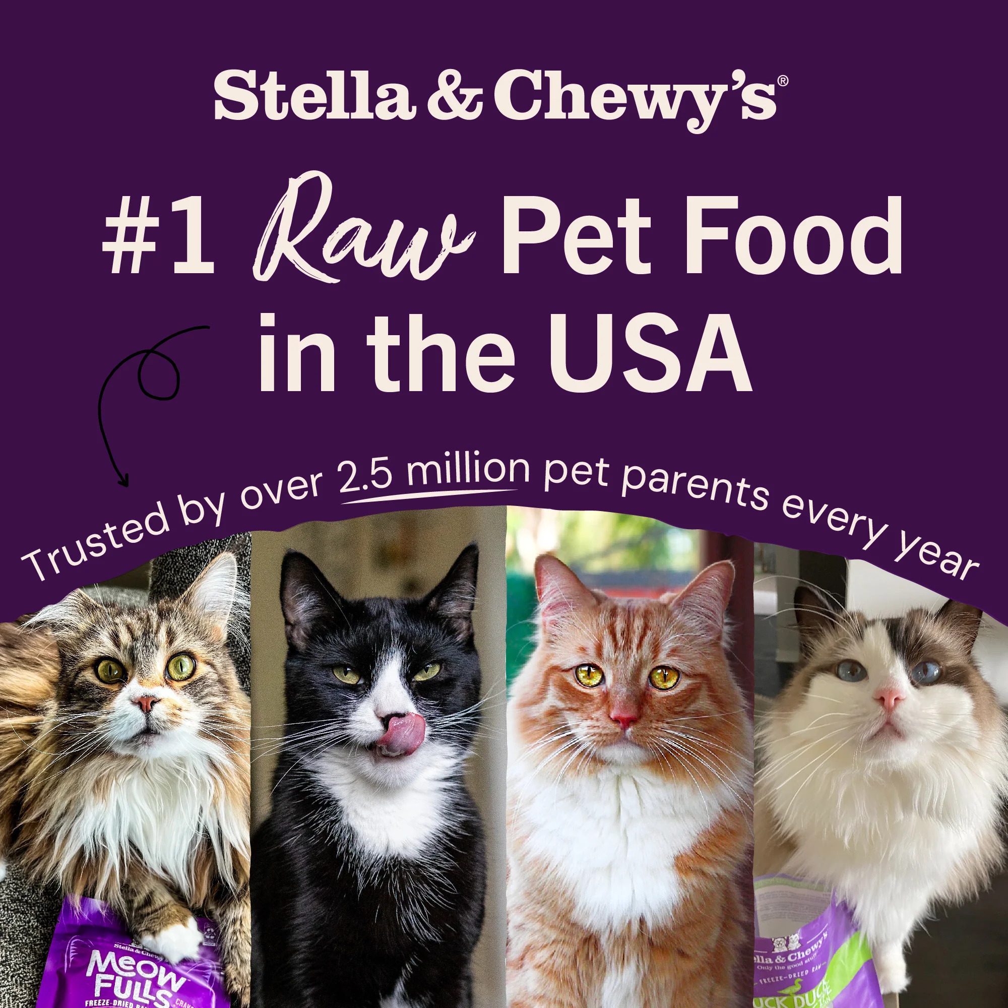 Stella & Chewy’s 凍乾生肉貓糧