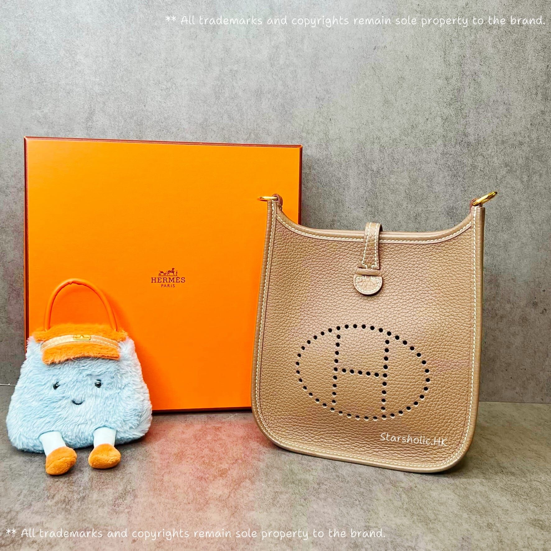 HERMES Mini Evelyne