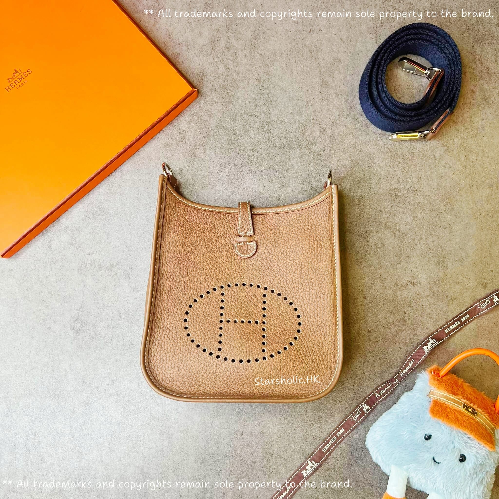 HERMES Mini Evelyne