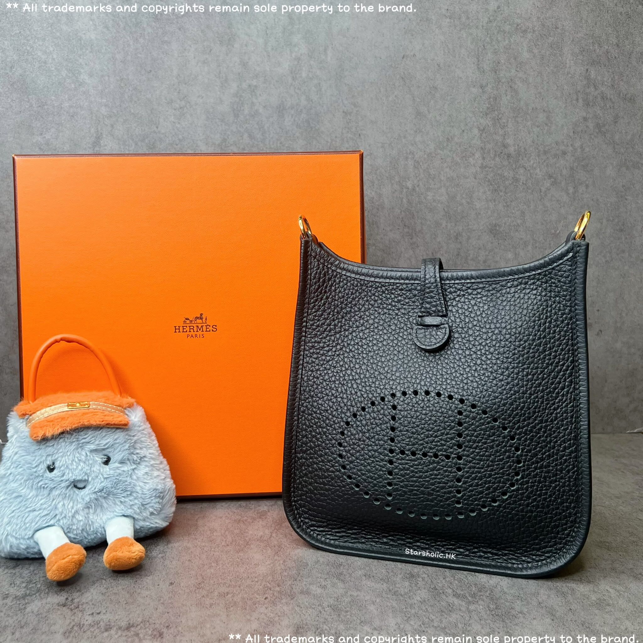 HERMES Mini Evelyne