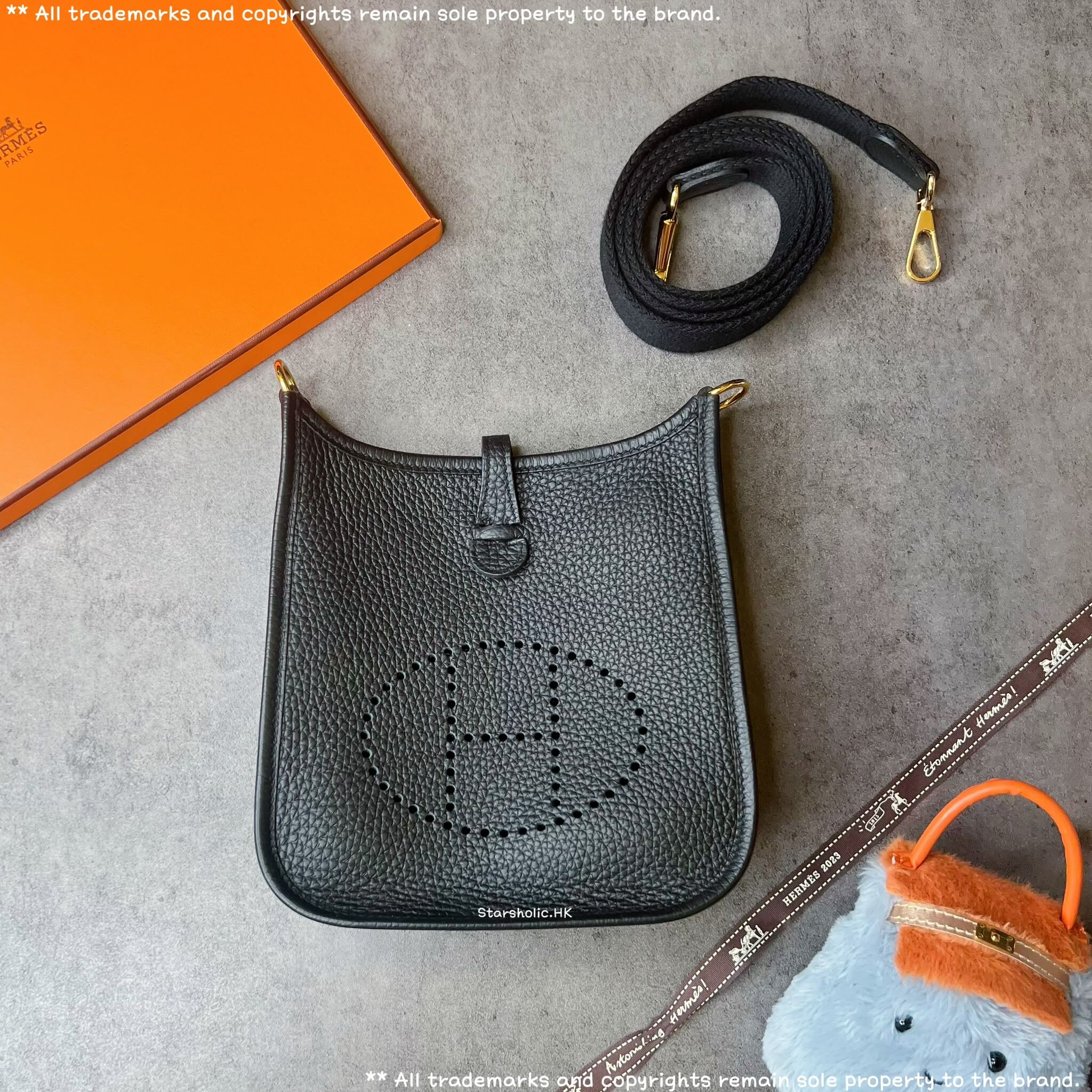 HERMES Mini Evelyne