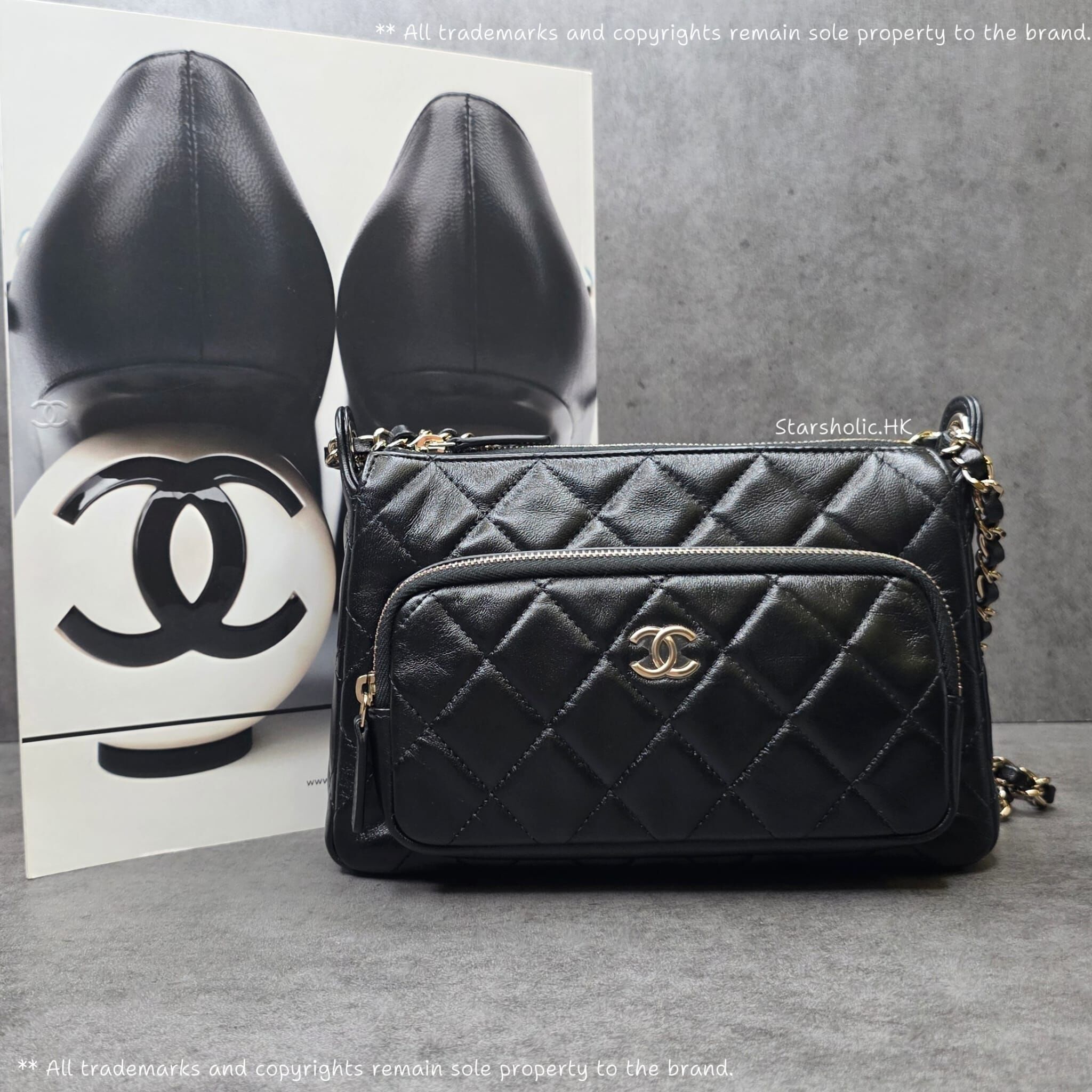 CHANEL Seasonal Camera Bag