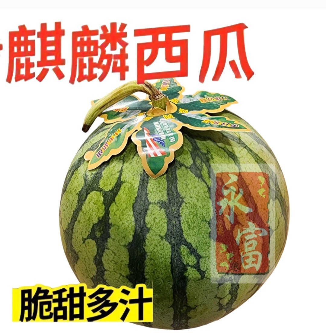 中國麒麟超甜西瓜(3-4磅)-1個