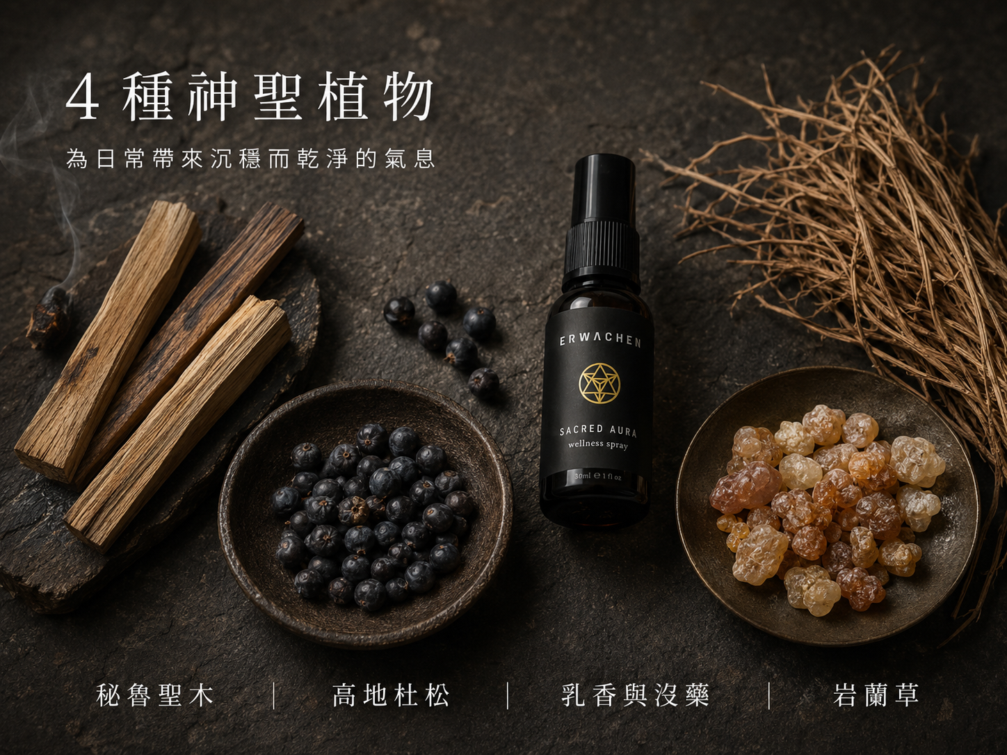 4大淨化植物