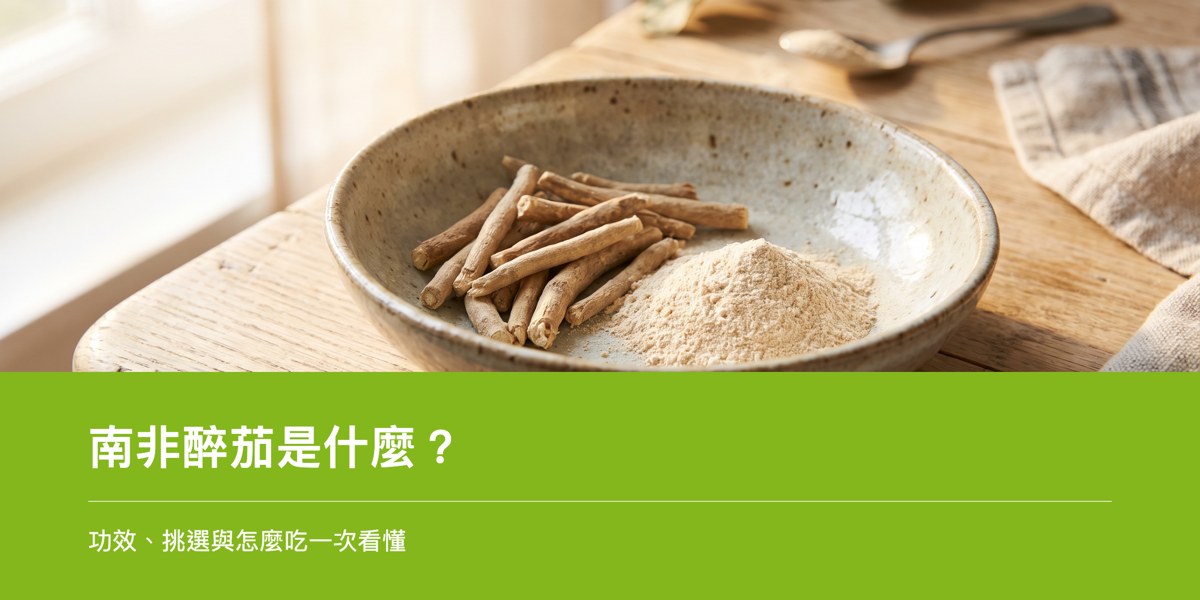 南非醉茄根部與粉末,象徵阿育吠陀傳統適應原草本