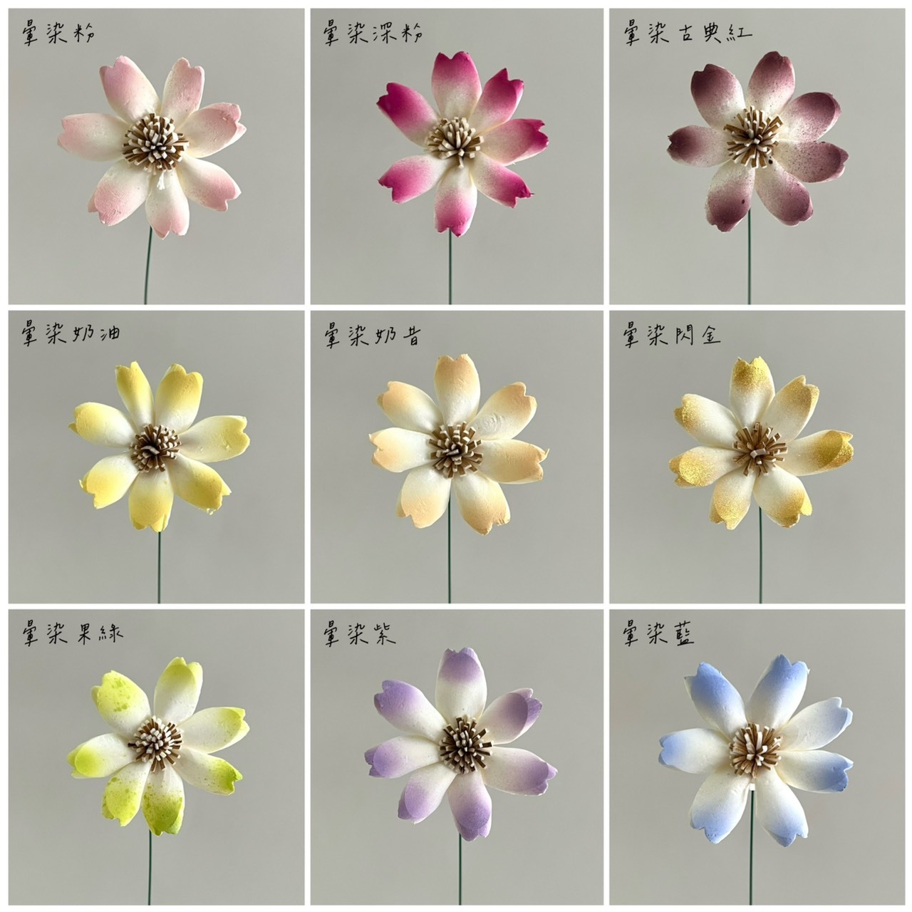 泰國索拉 木片櫻花4CM <十支一把> (高品質)