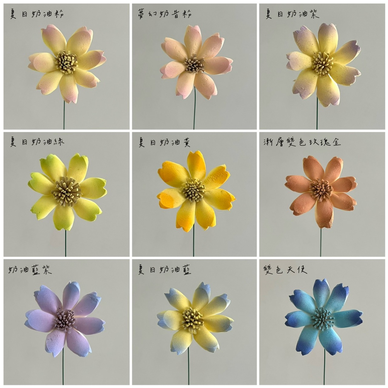 泰國索拉 木片櫻花4CM <十支一把> (高品質)