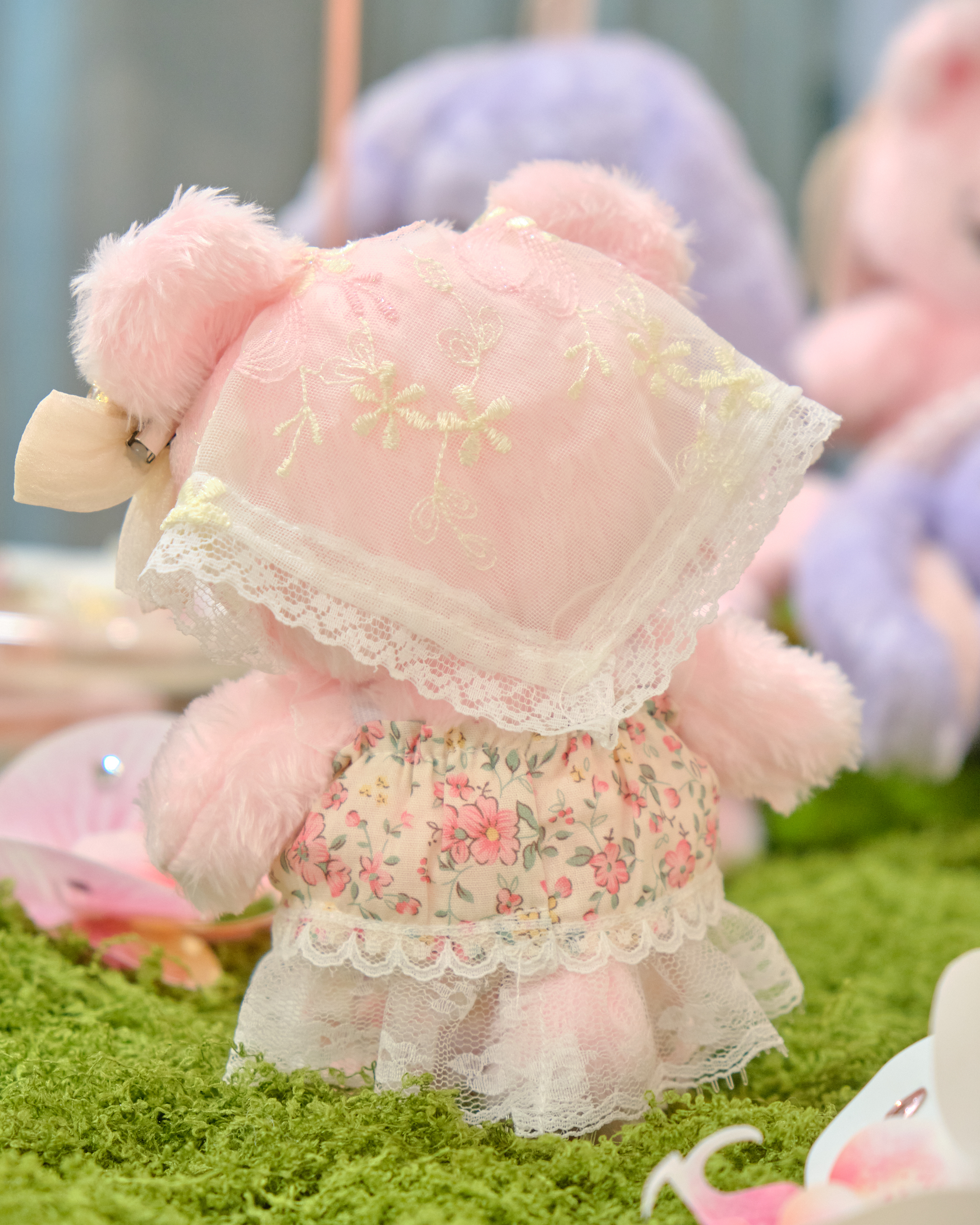 13935 SORA – Lace & Bloom