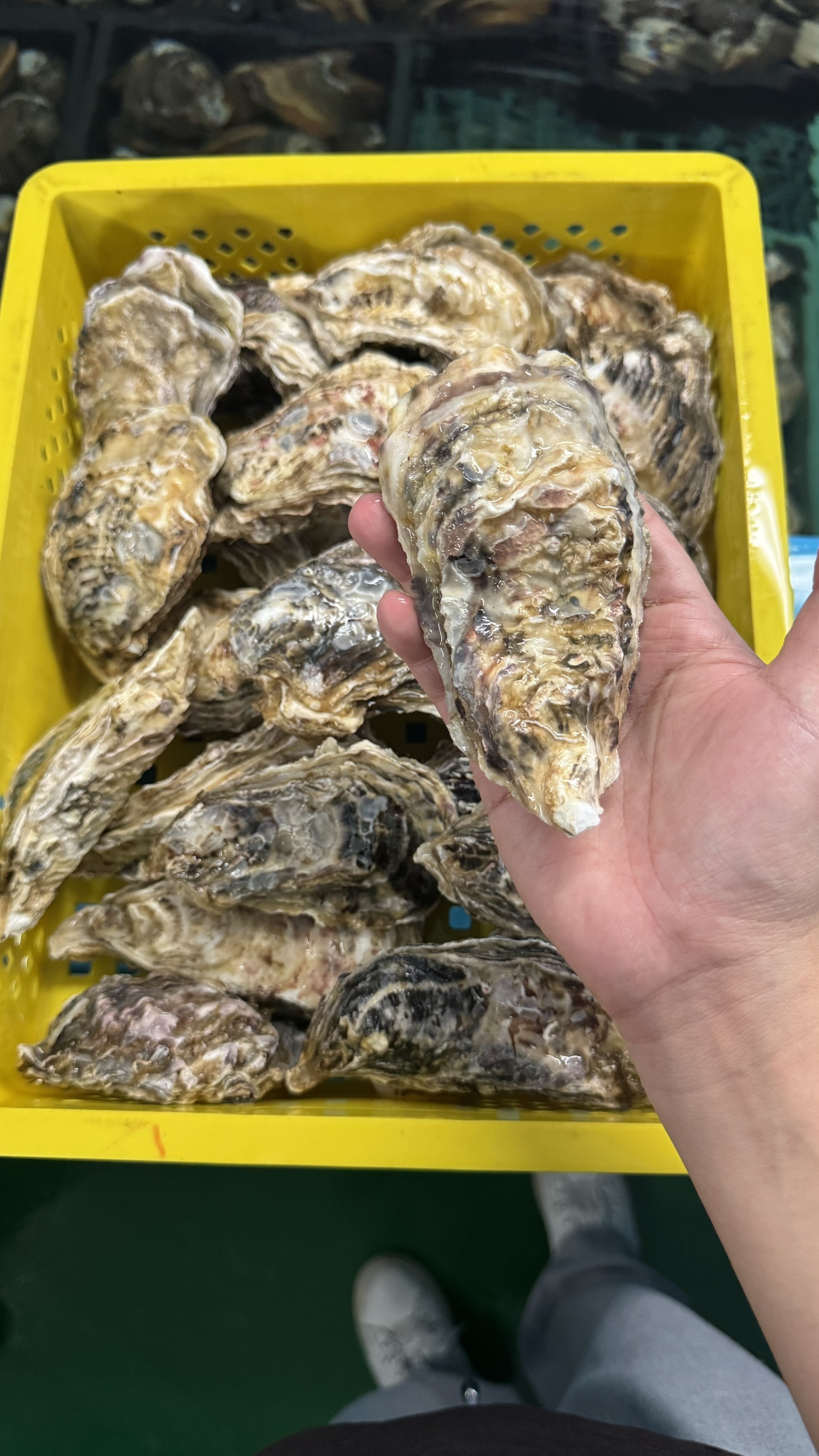 真牡蠣