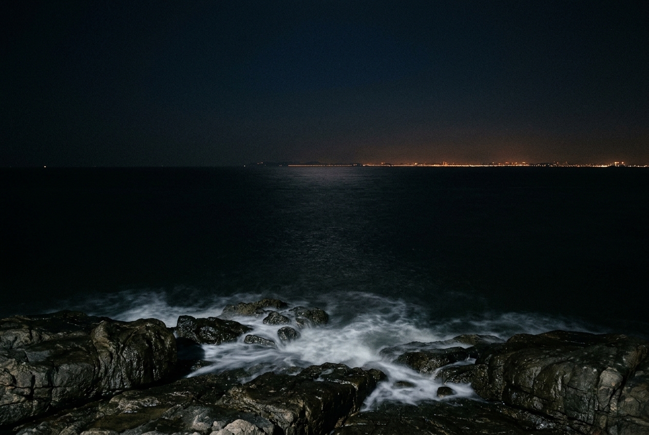 金門夜裡的海岸,黑色海面延伸到遠方,對岸低低一線城市燈火——水鬼夜裡就是游過這片海