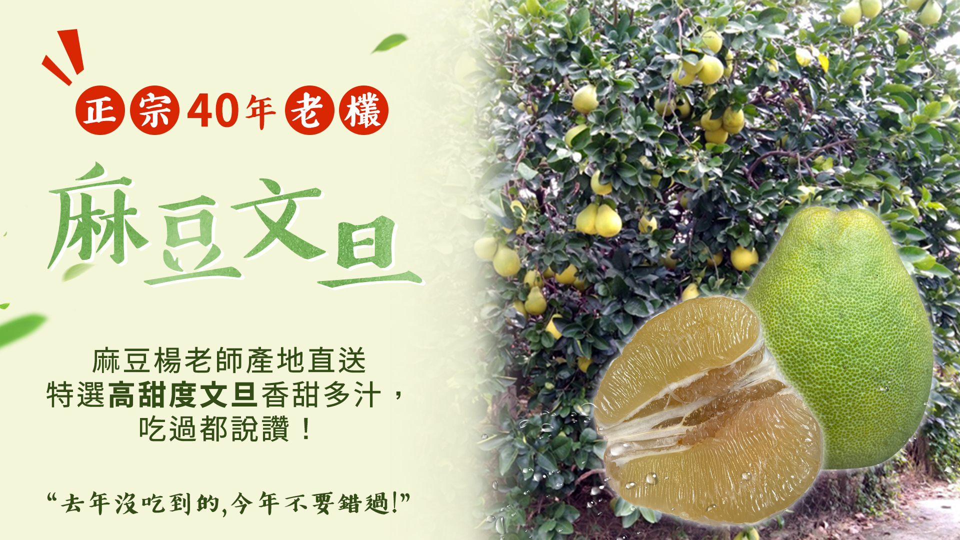 中秋文旦