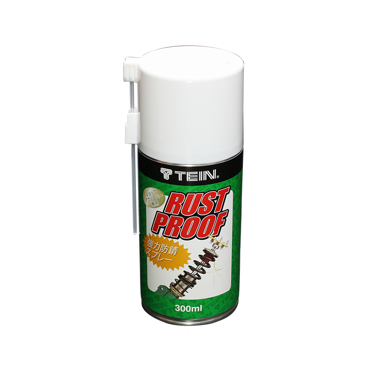 TEIN 避震器防鏽噴劑 防鏽劑