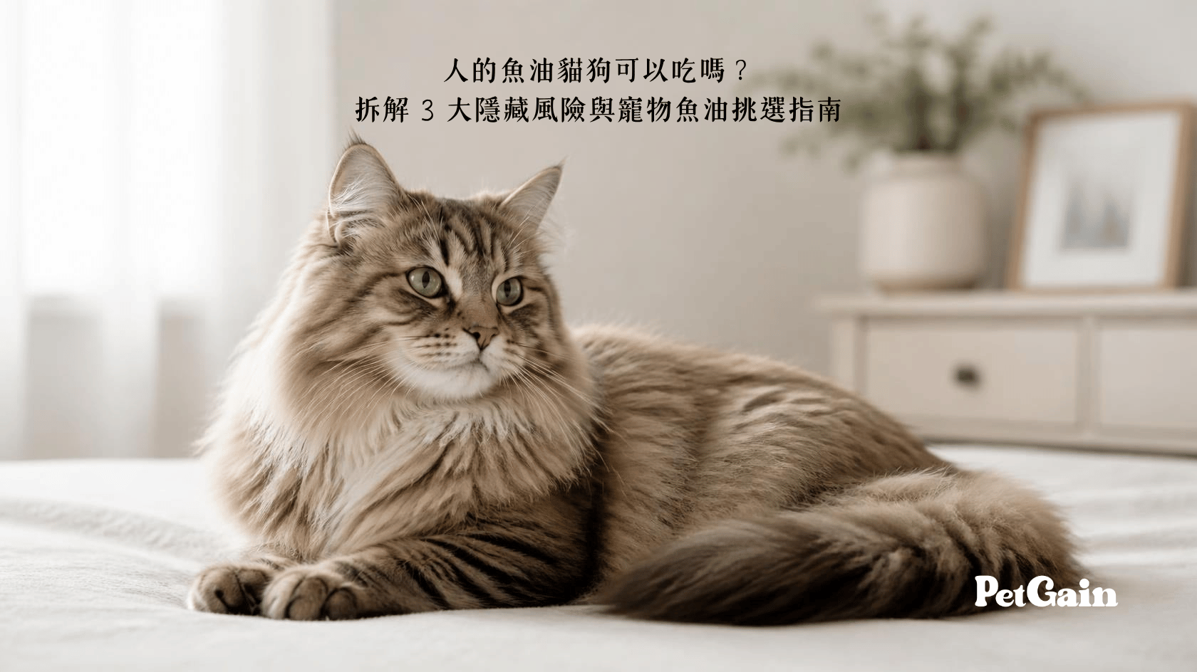 人的魚油貓狗可以吃嗎？拆解 3 大隱藏風險與寵物魚油挑選指南