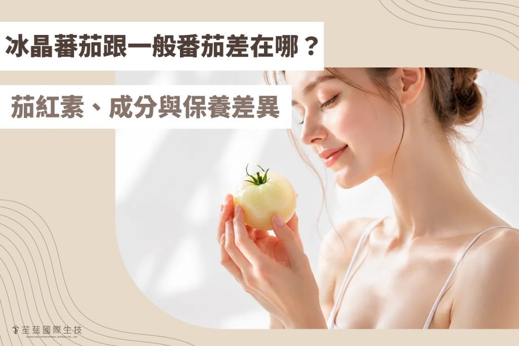 冰晶蕃茄跟一般番茄差在哪?