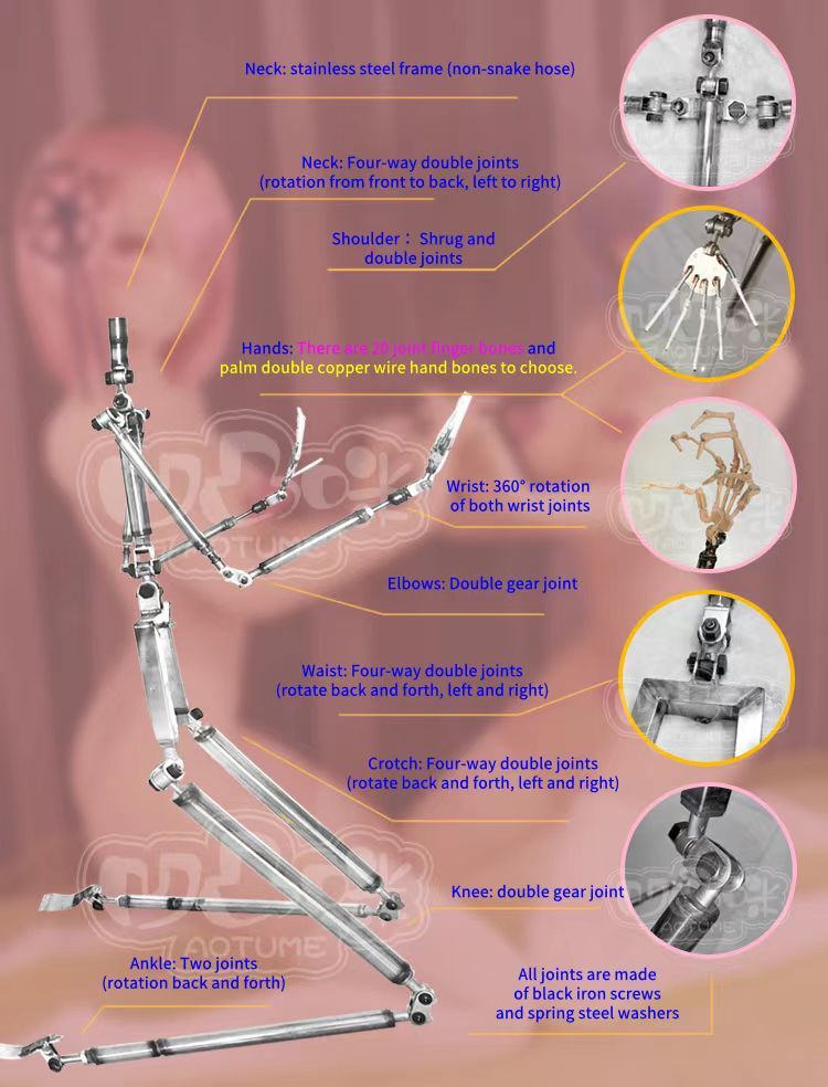 AotumeDoll Skeleton Structure Display Image