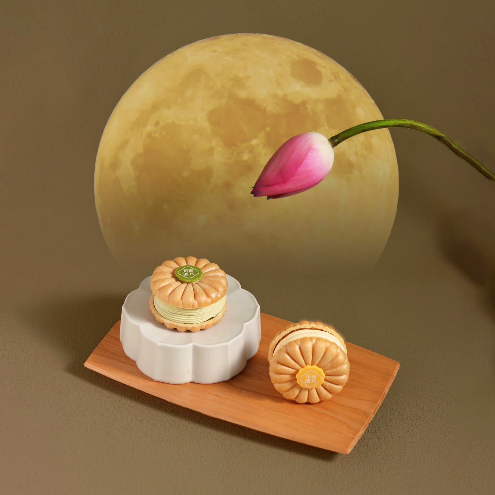 中秋限定 | 花逢月圓