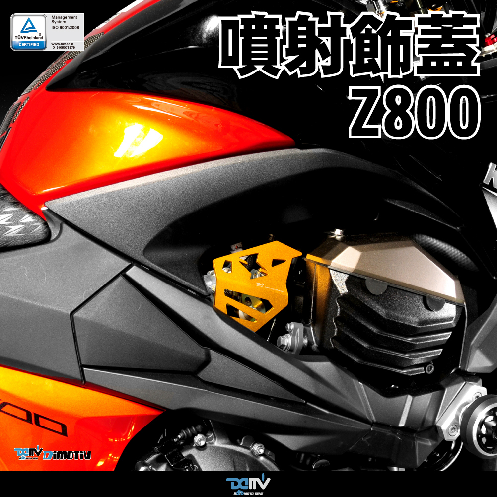 Fuel Injection Cover