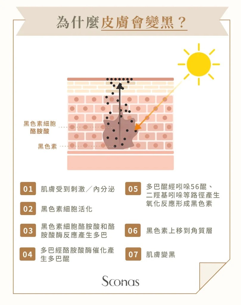 為什麼皮膚會變黑