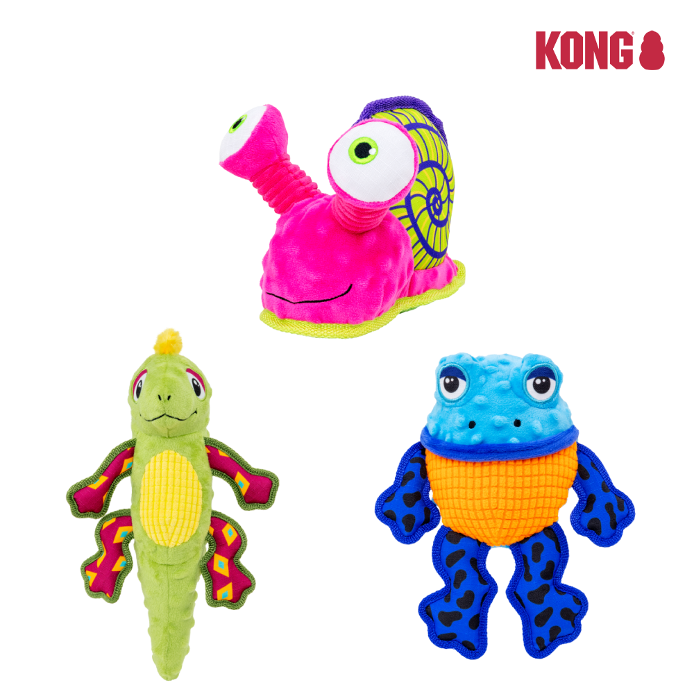 美國 KONG | 熱帶響笛 呱呱蛙/鬣蜥/蝸牛 發聲玩具(顆粒聲響) 狗狗玩具