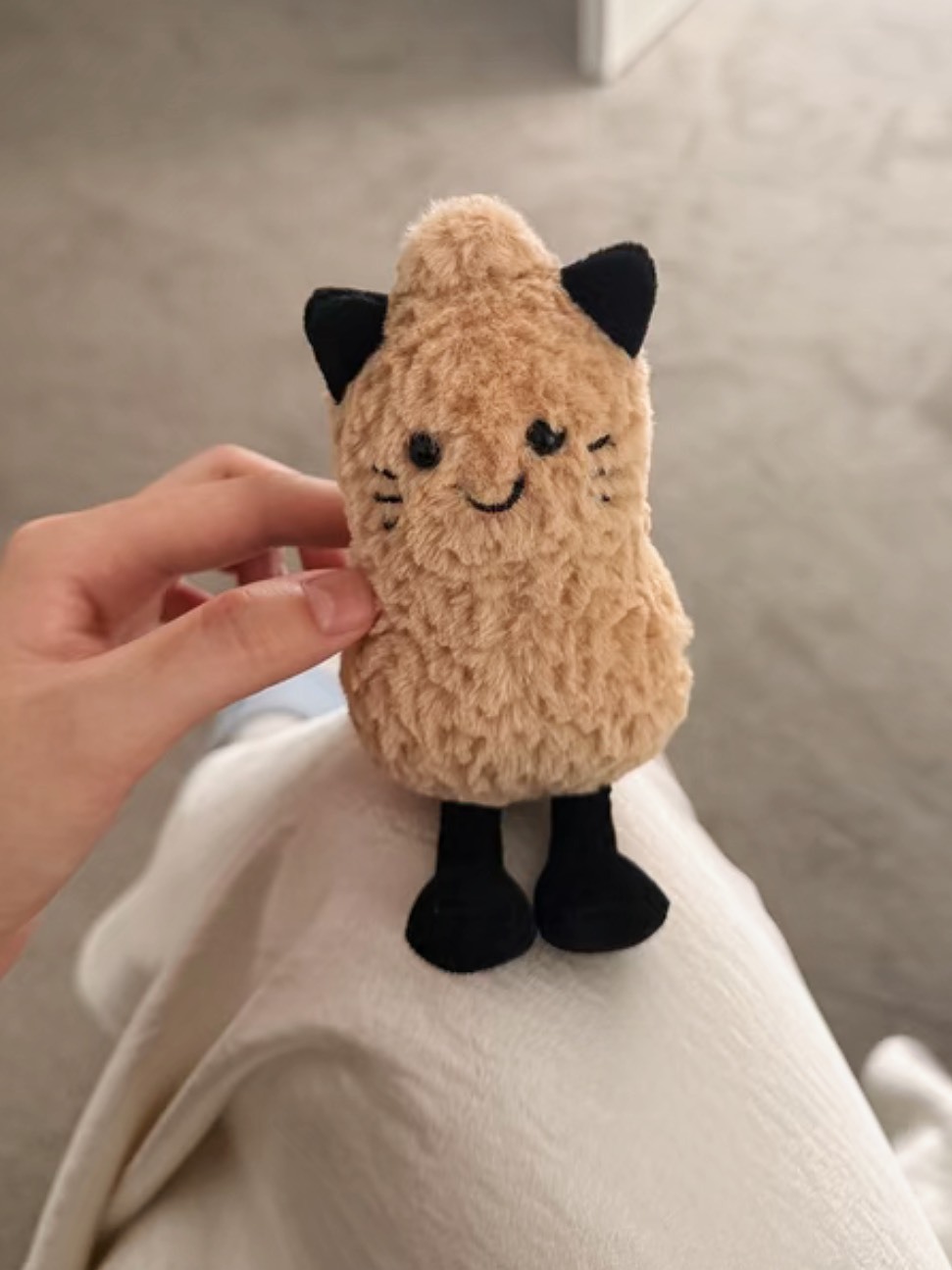 JELLYCAT 萬聖節 貓咪花生 毛絨 公仔 12CM