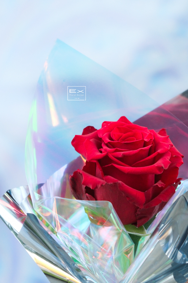 Only You／單支玫瑰花束 附精緻小提袋