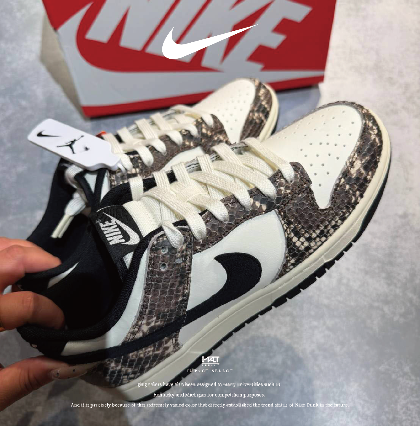 Nike Dunk Low "Snake" 蛇鱗  IO1616-002