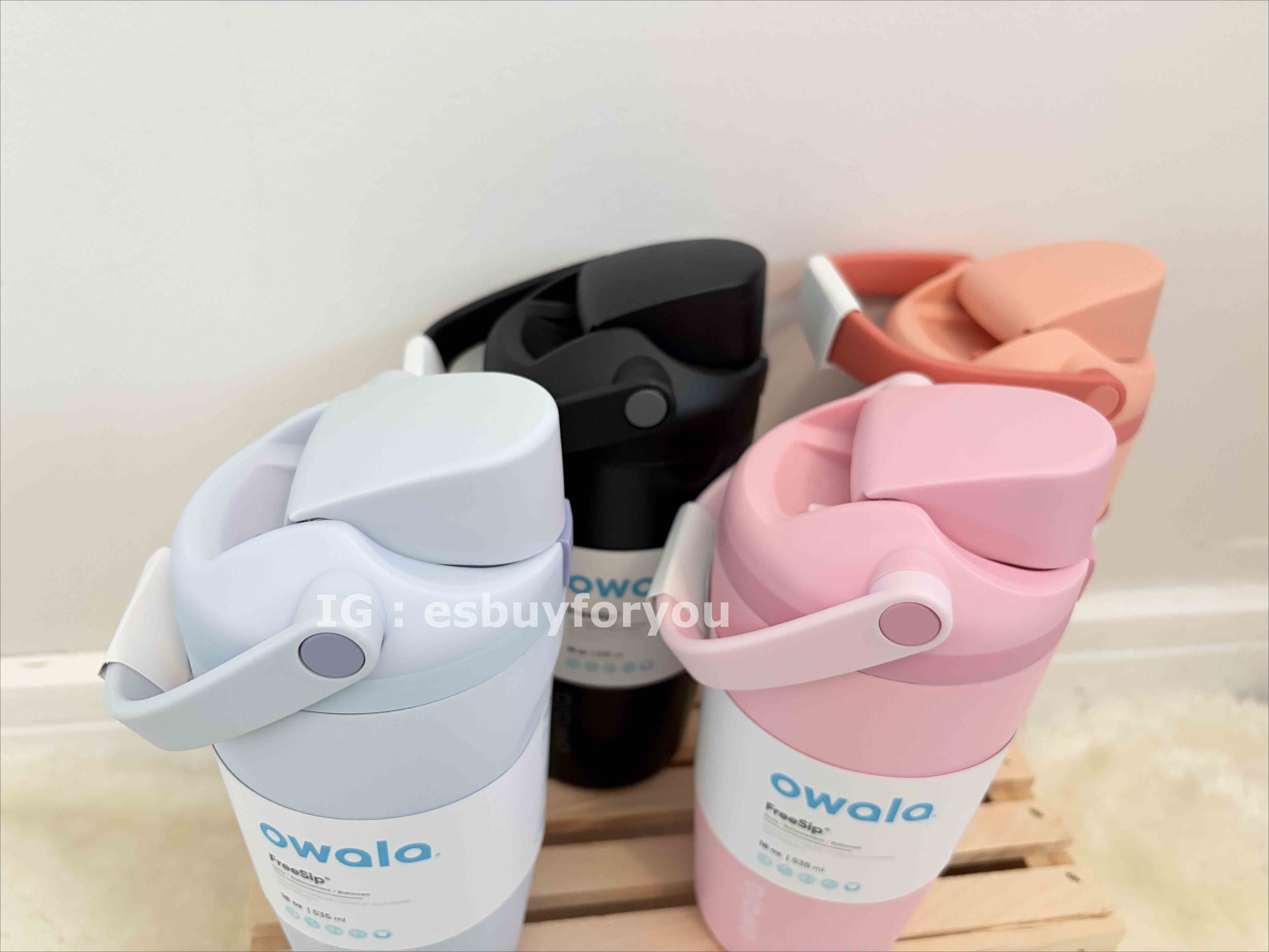 Owala (18oz) 手提款 不鏽鋼 FreeSip 水壺 (內有吸管) (多色)