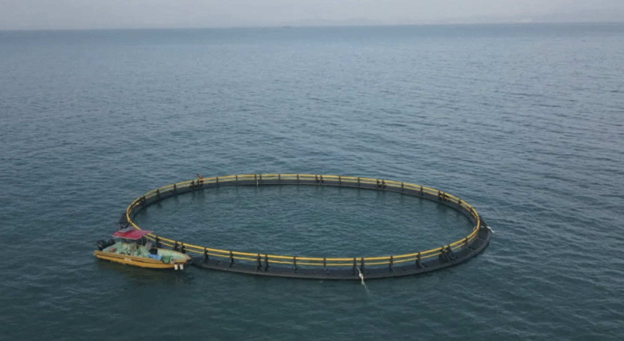 香港大鵬灣 (南)