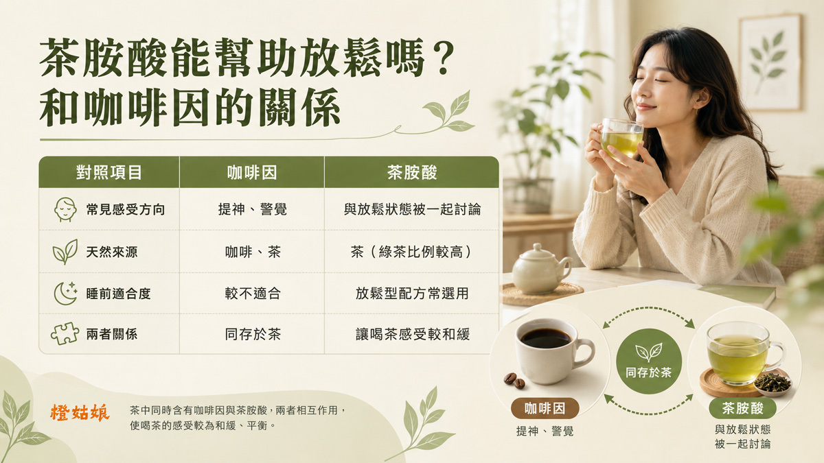 茶胺酸能幫助放鬆嗎