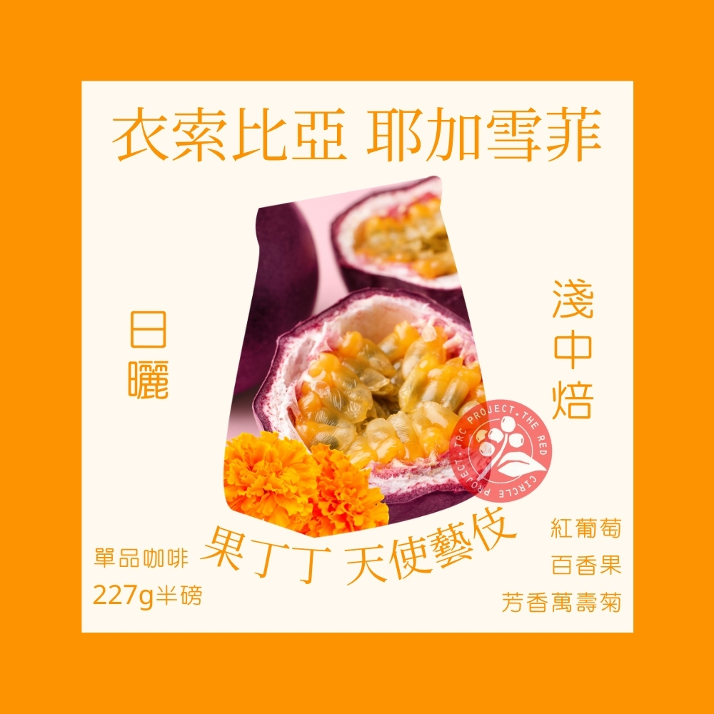 淺中焙｜衣索比亞 耶加雪菲 果丁丁 天使藝伎 日曬處理法 咖啡豆 半磅(227g±5g)｜暖窩咖啡