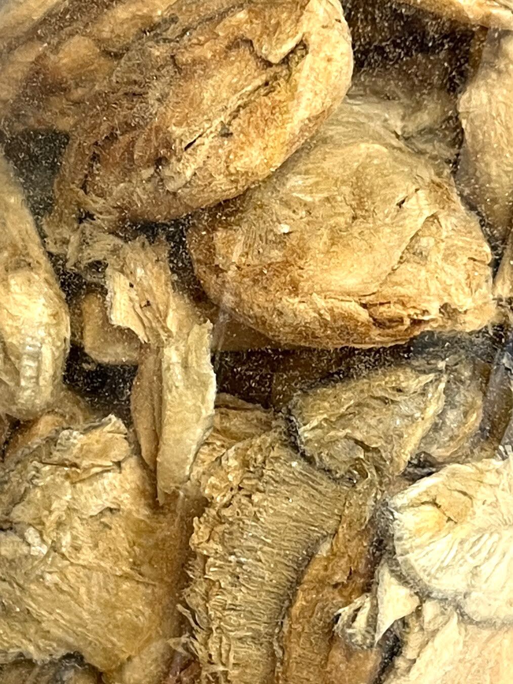 Paws Park 韓國生蠔凍乾零食 60g（狗狗食用）