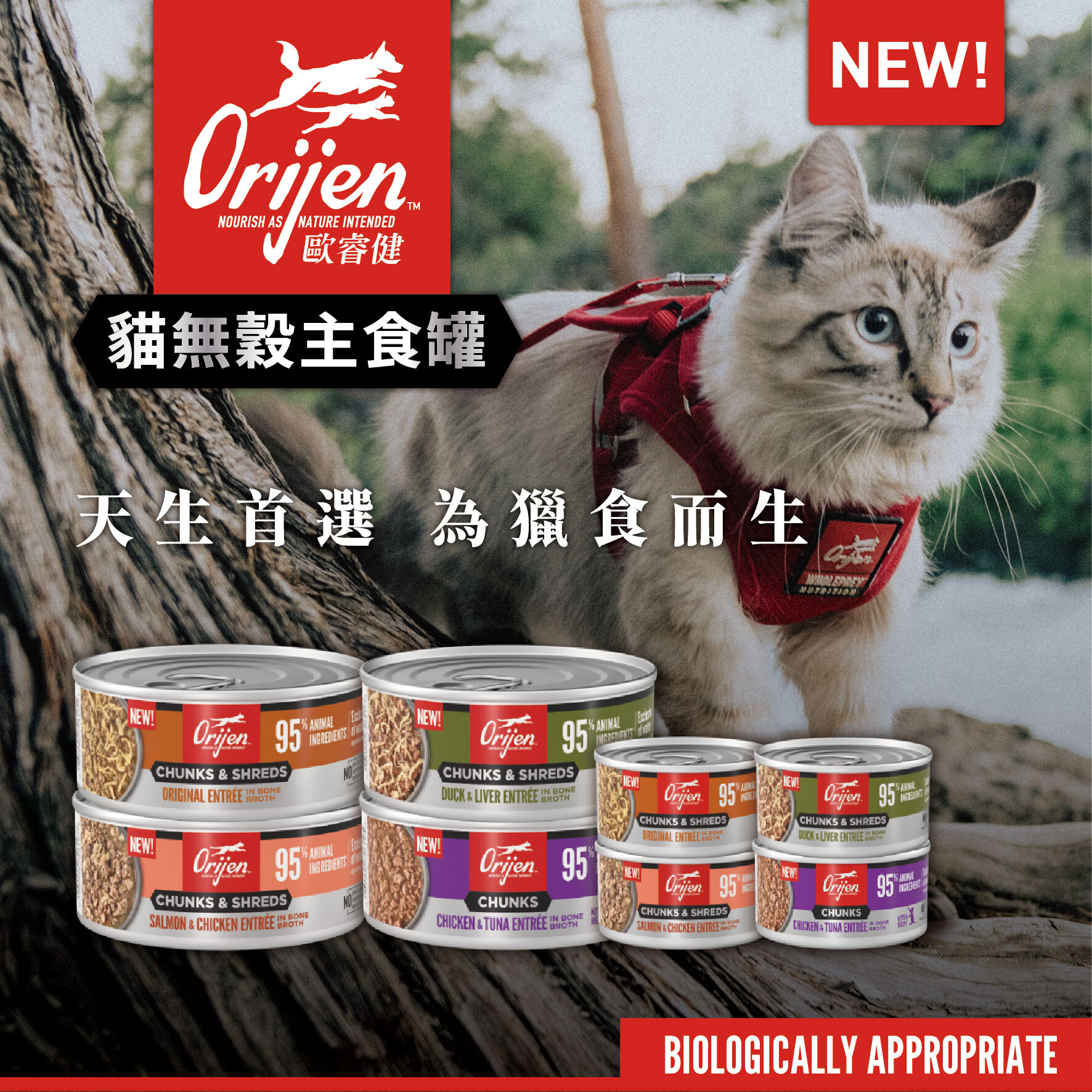 Orijen-歐睿健-貓主食罐-無穀