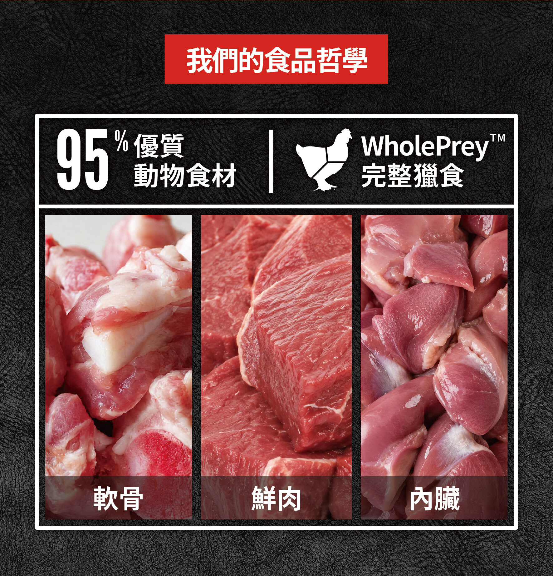 Orijen-歐睿健-貓主食罐-無穀