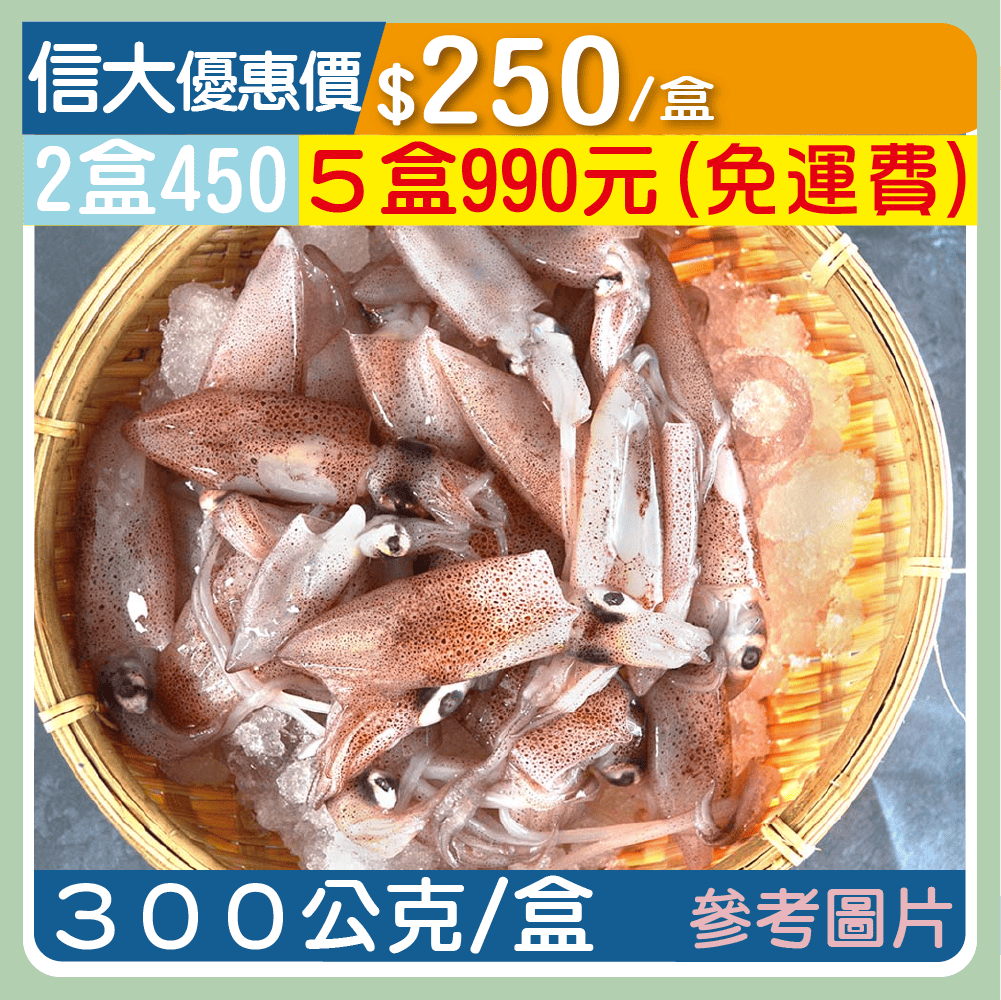 【崇文海鮮】基隆船凍生鮮小卷300g/盒