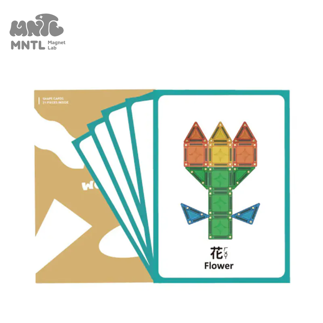 MNTL 創造力學習圖卡 20pcs