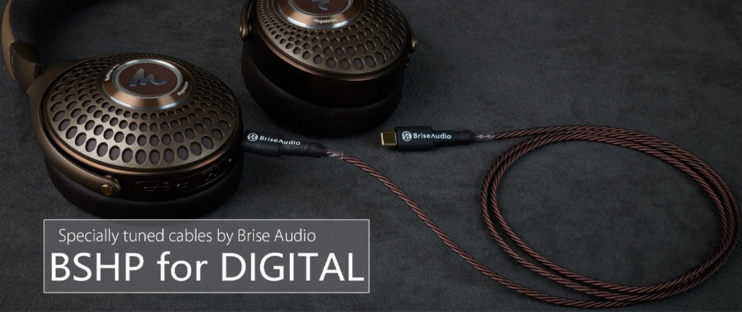 BRISE AUDIO BSHP for Digital USB 升級線