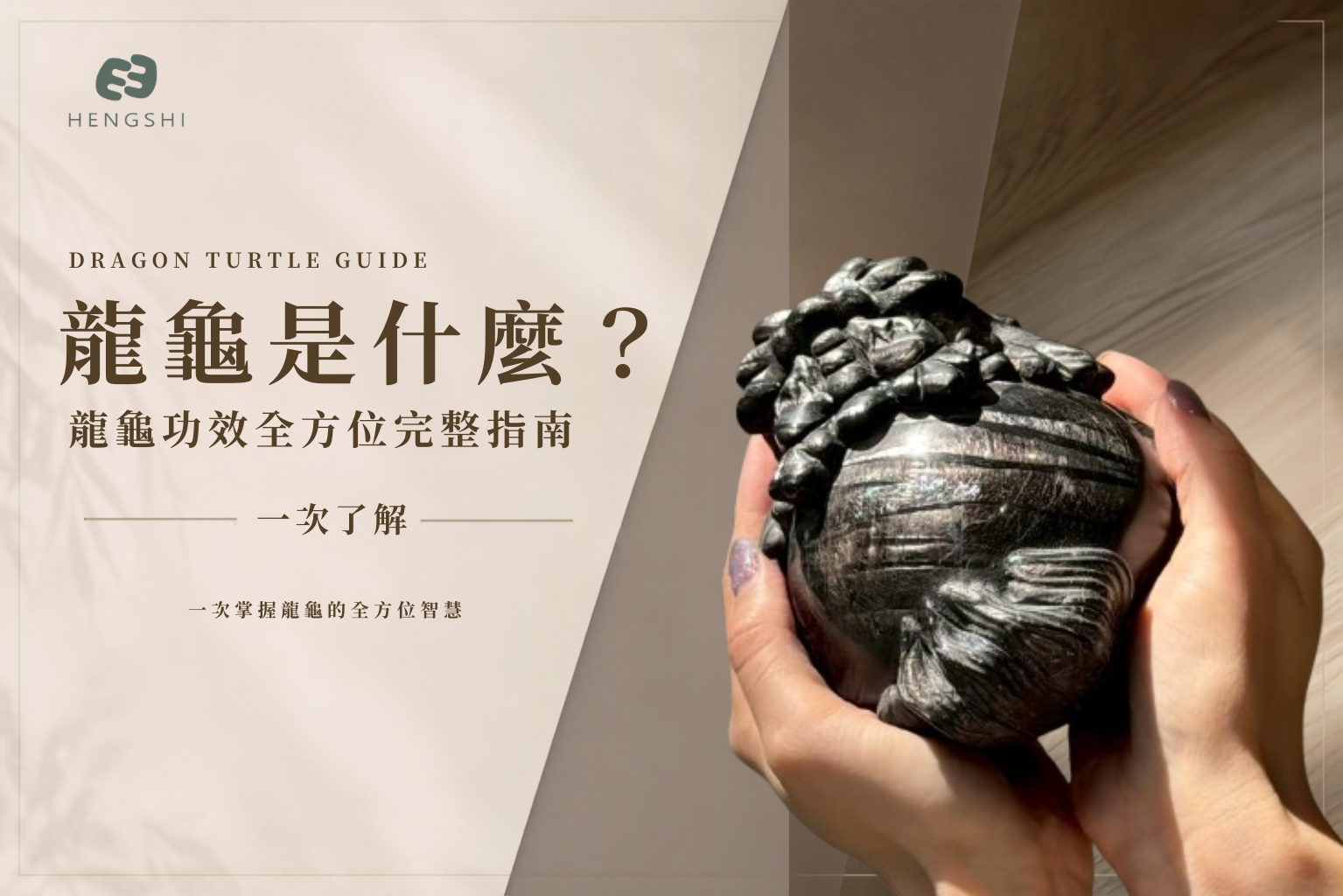 手上拿了一隻金運石龍龜,龍龜是什麼呢?功效帶你一次了解