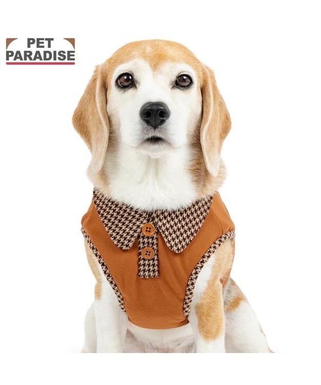 [Pet Paradise] Harness