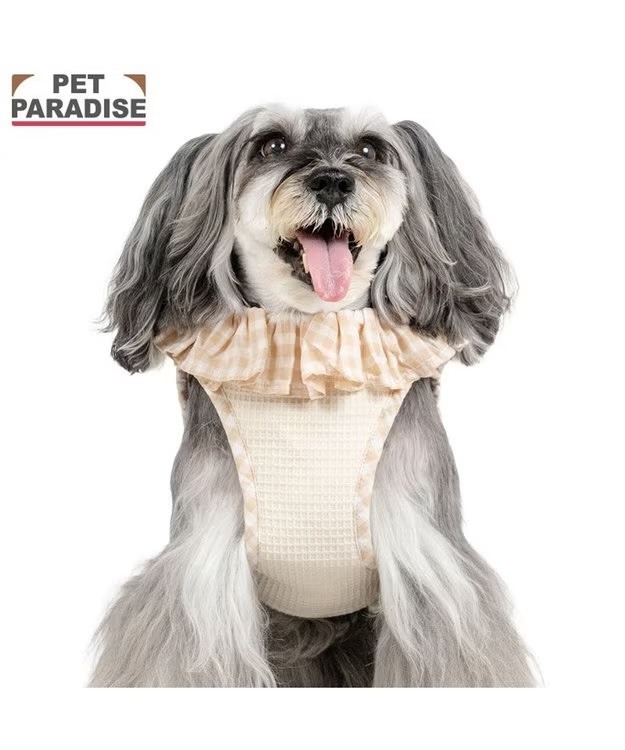 【Pet Paradise】Bear Pierrot Collar Vest Harness <342-43485>