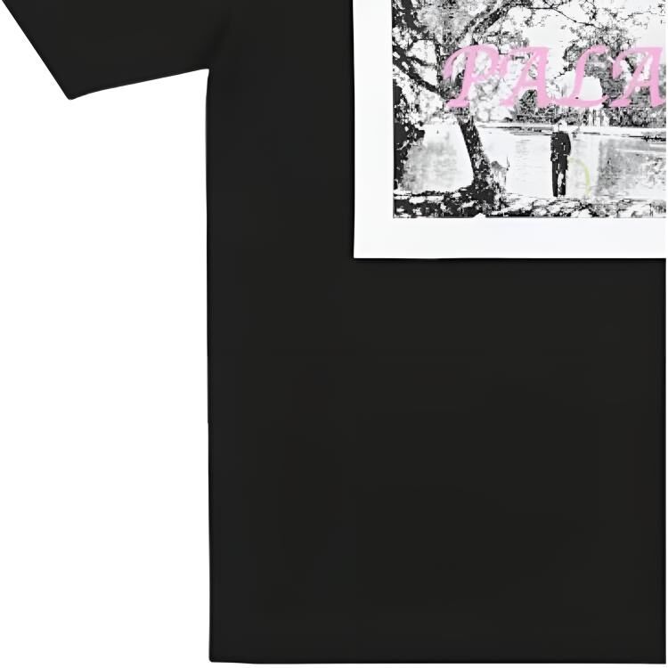 【代購】PALACE SS26 Drop2 DICK JEWELL T SHIRT BLACK T Shirt Unisex P30TS443
