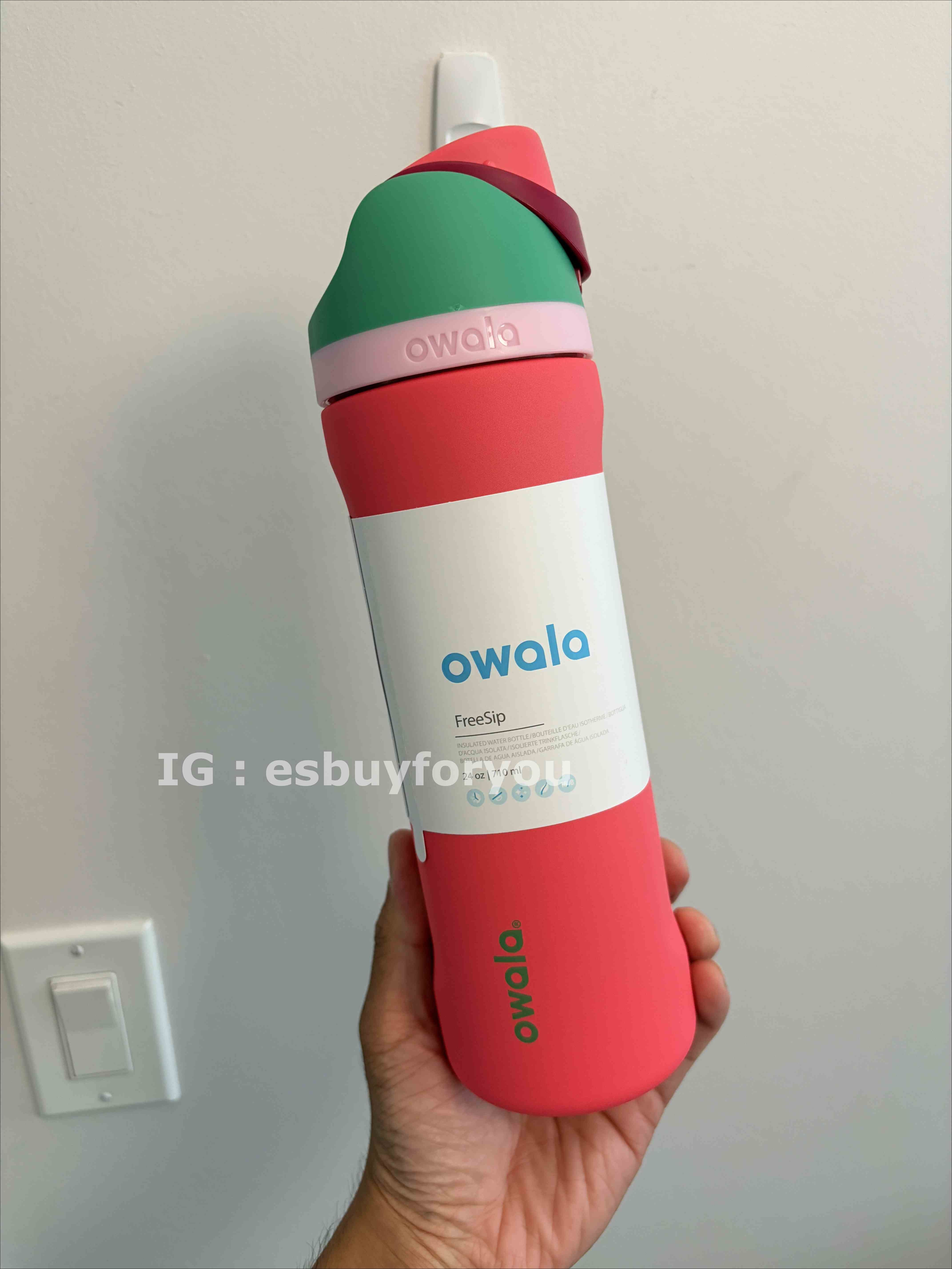 Owala (24/32oz) 不鏽鋼 FreeSip 水壺 (內有吸管) Strawberry Field 草莓原野
