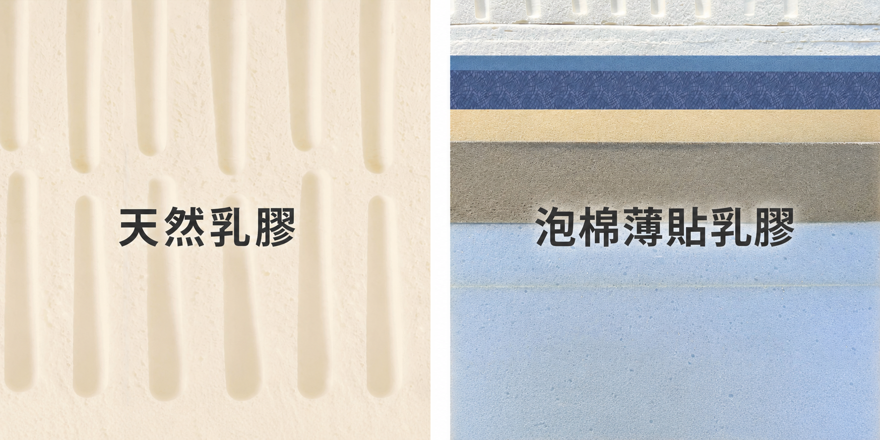 天然乳膠與泡棉薄貼乳膠的剖面對比，教你辨別真假乳膠